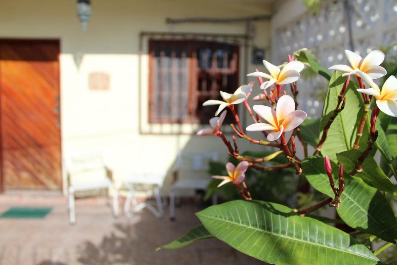 Cancun Guest House Экстерьер фото