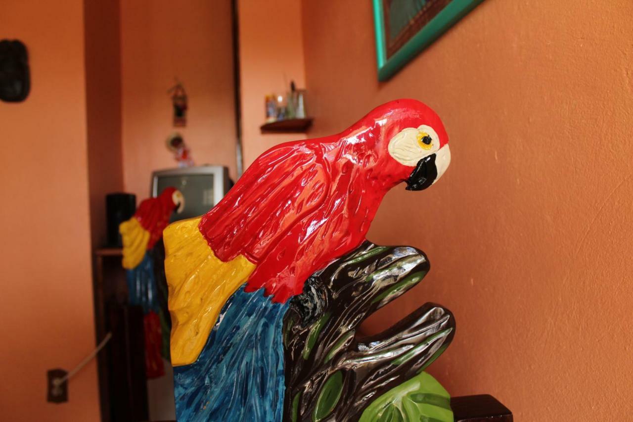 Cancun Guest House Экстерьер фото